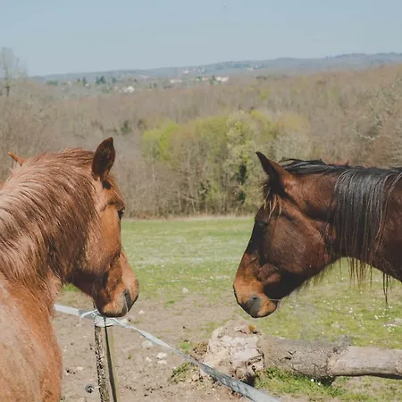 La Ferme De Bousserand *