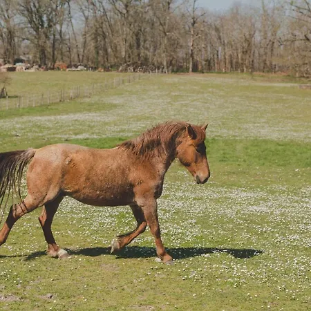 Casa de Férias La Ferme De Bousserand Pontours