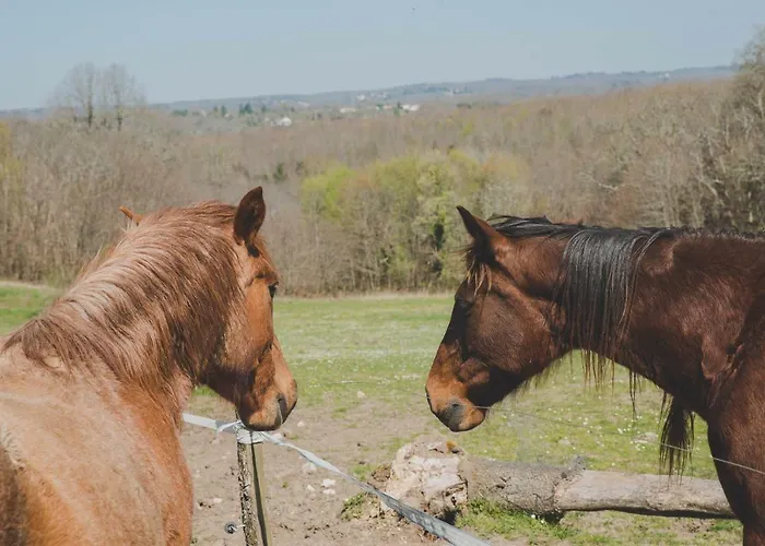 La Ferme De Bousserand *