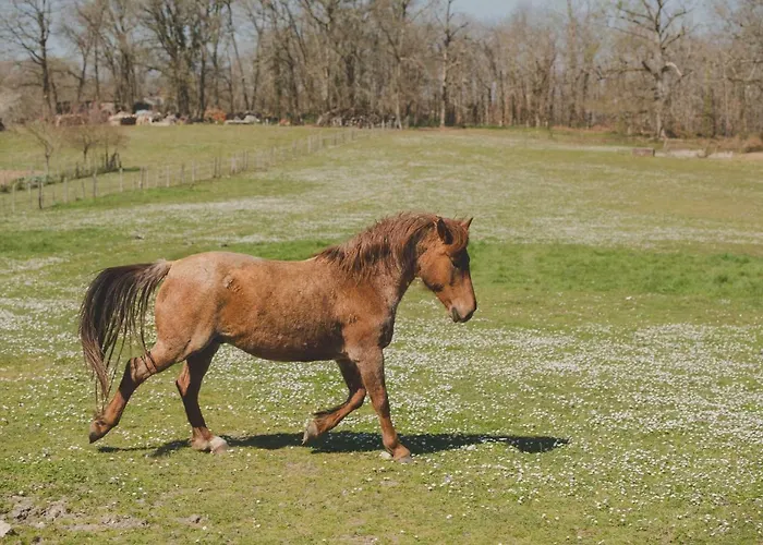Tatil Evi La Ferme De Bousserand Pontours